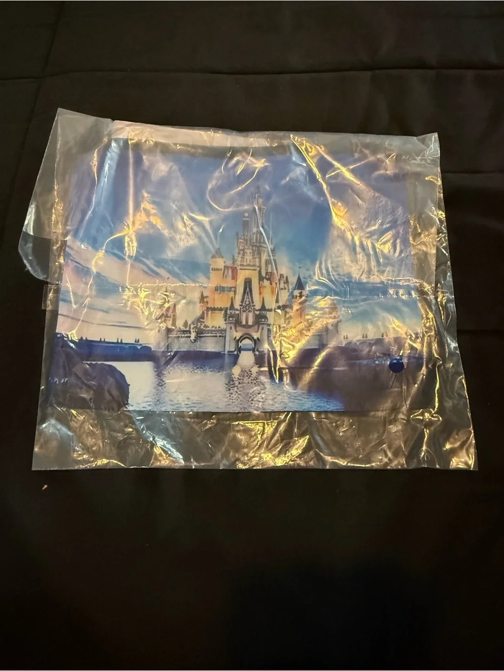 Castle Makeup Bag